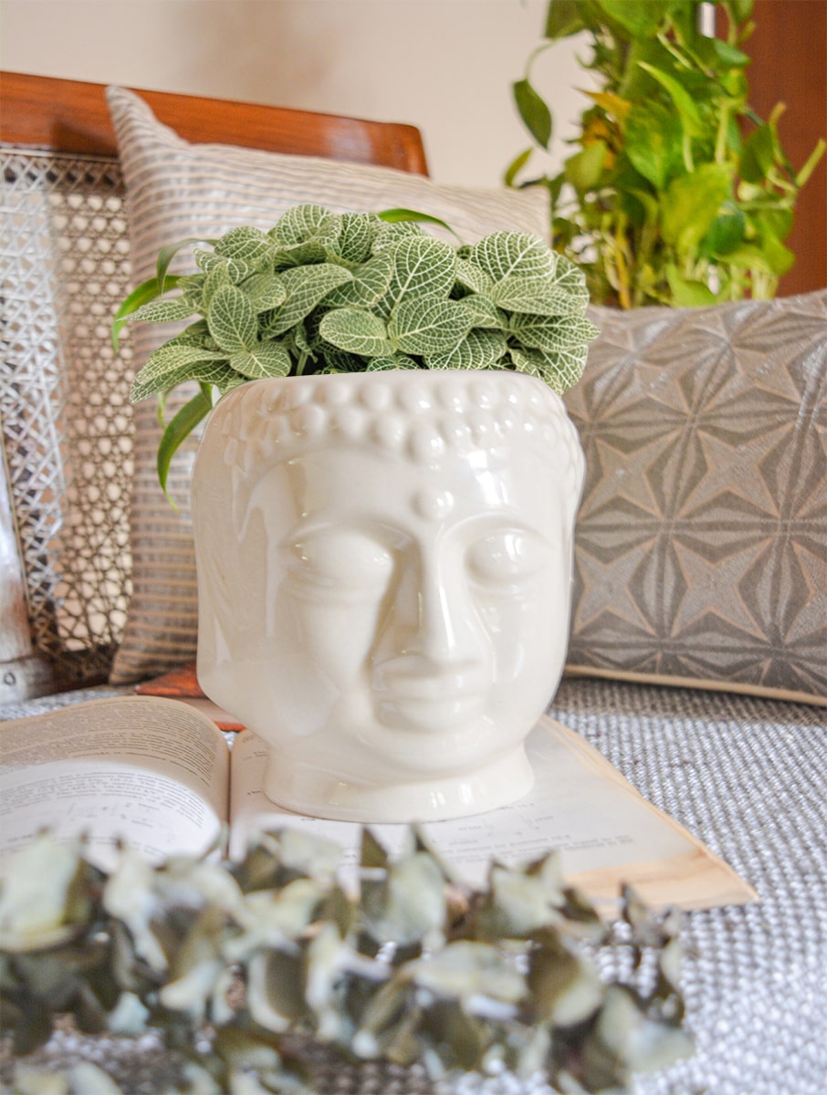 Buddha Planter