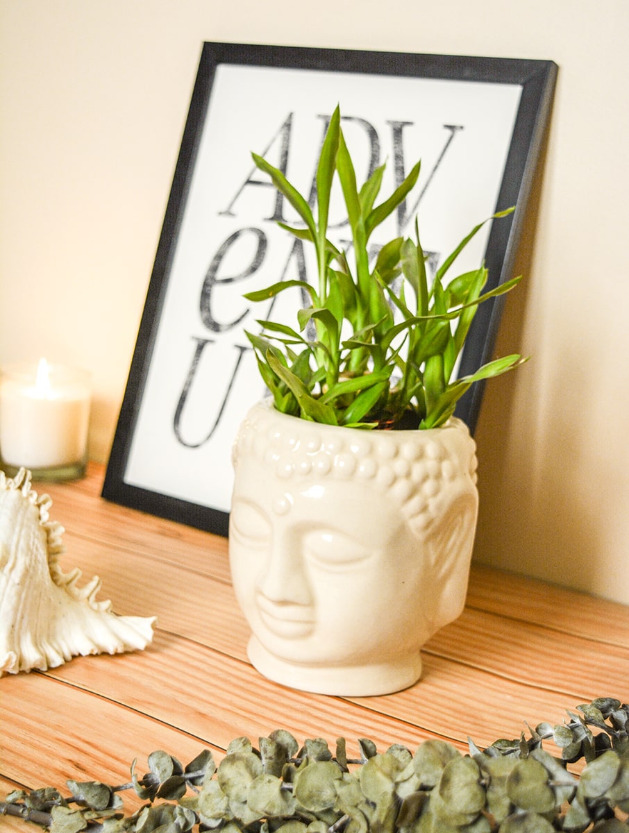 Buddha Planter